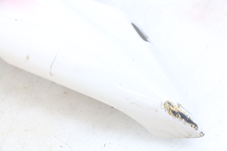 photo de CARENAGE ARRIERE YAMAHA YZF R THUNDERCAT 600 (1996 - 2003) - Marquages et références