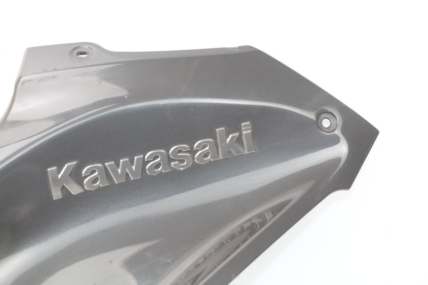 photo de CARENAGE RESERVOIR KAWASAKI Z Z900 900 (2017 - 2019) - Aperçu profil