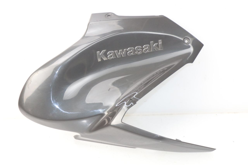 photo de CARENAGE RESERVOIR KAWASAKI Z Z900 900 (2017 - 2019) - Vue principale