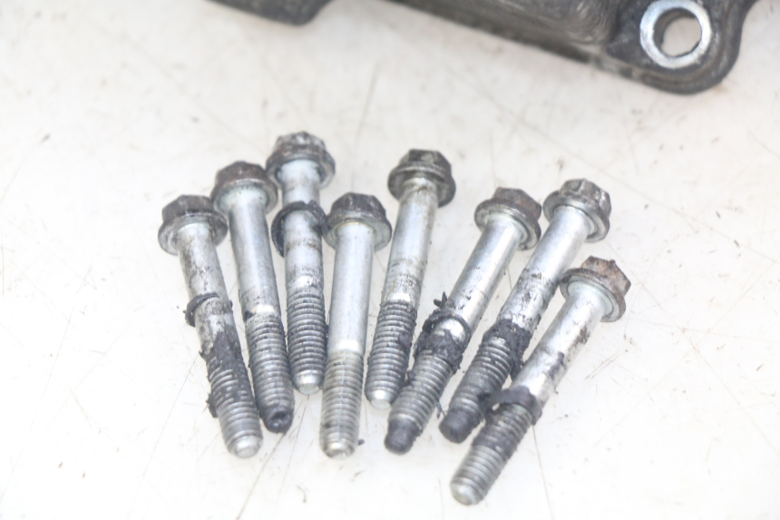 photo de CARTER ALLUMAGE PEUGEOT ELYSEO 125 (1999 - 2004) - État de surface