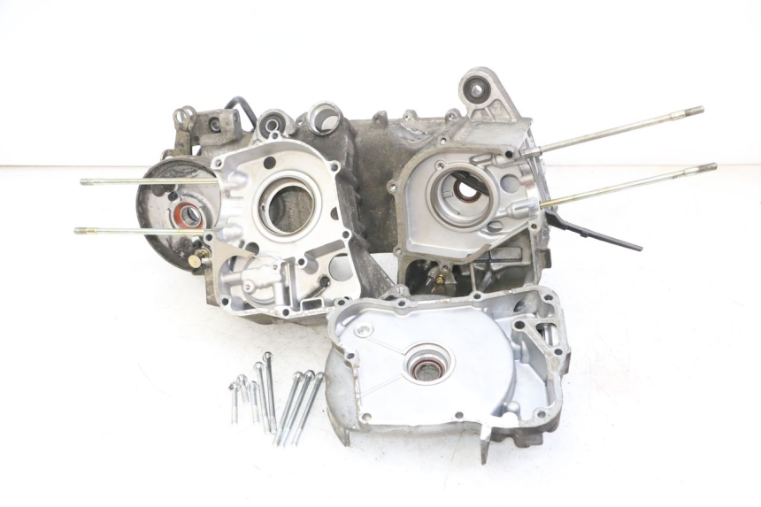 photo de CARTER BAS MOTEUR DAELIM BESBI 125 (2007 - 2008) - Zoom état d’usage