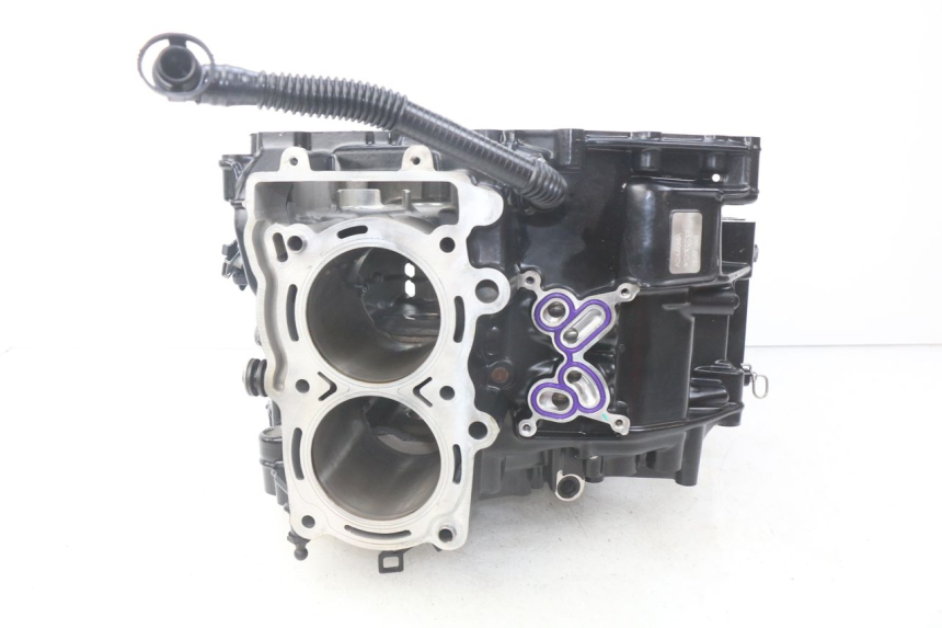 photo de CARTER BAS MOTEUR BMW F GS K81 850 (2018 - 2023) - Zoom état d’usage