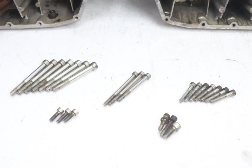 photo de CARTER BAS MOTEUR DUCATI SS IE DS CARENEE 1000 (2002 - 2006) - État de surface