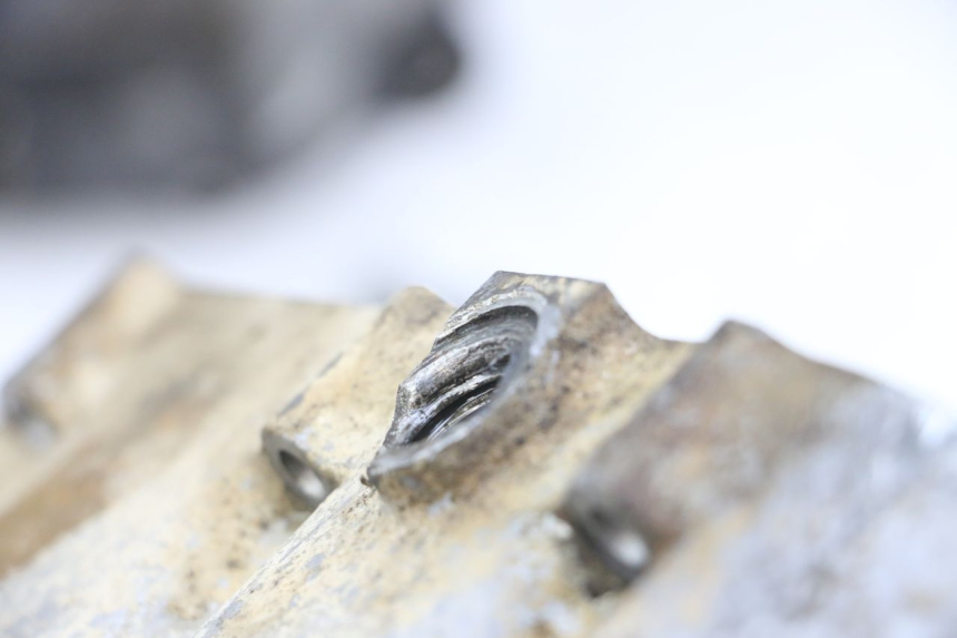 photo de CARTER BAS MOTEUR HONDA TRX 300 (1988 - 2000) - Vue rapprochée