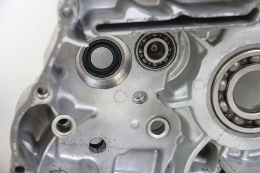 photo de Lower engine case DAELIM VL DAYSTAR 125 (2000 - 2011) - Marquages et références