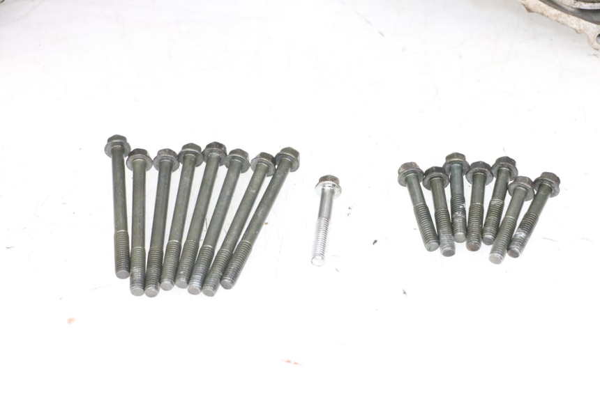 photo de CARTER BAS MOTEUR SUZUKI VL INTRUDER 125 (2004 - 2007) - Vue rapprochée