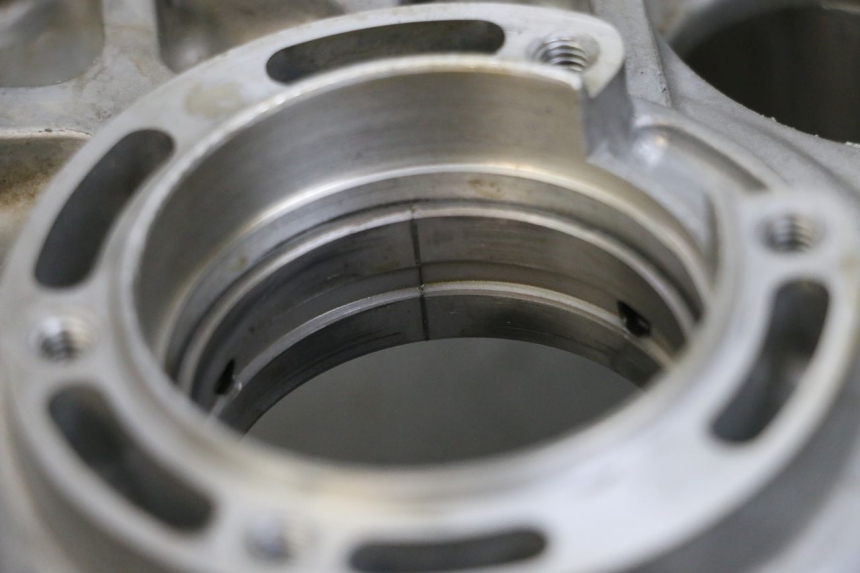 photo de CARTER MOTEUR GAUCHE SUZUKI BURGMAN 650 (2013 - 2020) - Zoom état d’usage