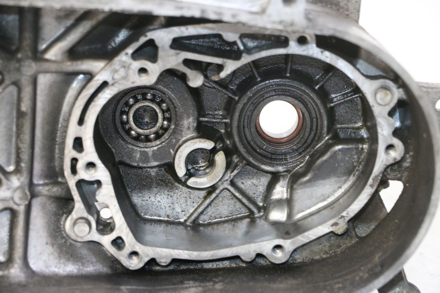 photo de CARTER MOTEUR GAUCHE PEUGEOT VIVACITY NEW 2T 50 (2008 - 2017) - Vue rapprochée