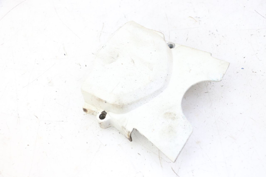 photo de CARTER PIGNON SKYTEAM DAX REPLICA 110 (2005 - 2015) - Vue principale