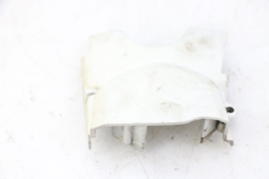 photo de CARTER PIGNON SKYTEAM DAX REPLICA 110 (2005 - 2015) - Gros plan technique