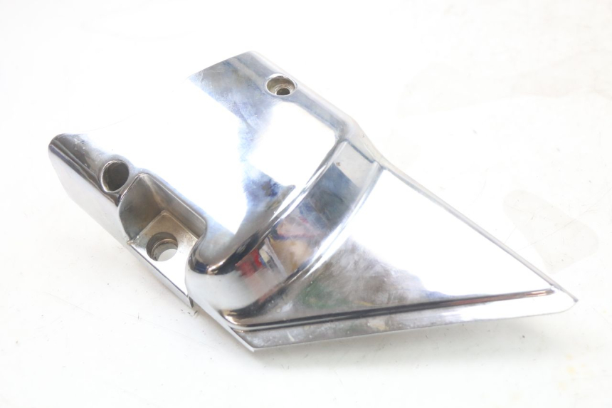 photo de CARTER PIGNON REGAL RAPTOR RAXTER 2 125 (2007 - 2015) - Détail de la pièce