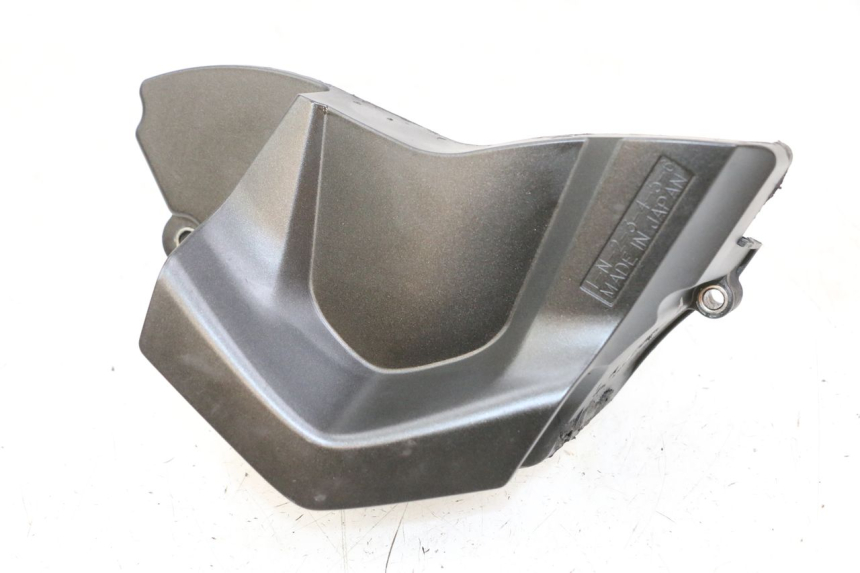 photo de CARTER PIGNON YAMAHA FZ1 FAZER 1000 (2007 - 2009) - Vue principale