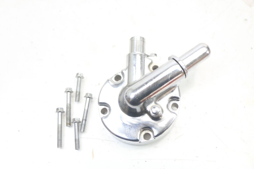 photo de CARTER POMPE A EAU REGAL RAPTOR SPYDER 125 (2010 - 2018) - Vue principale