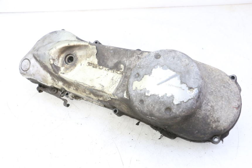 photo de CARTER VARIATEUR PEUGEOT ELYSTAR 50 (2002 - 2014) - Vue principale