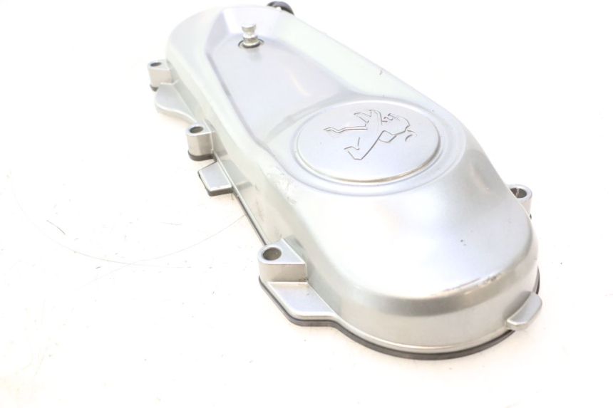 photo de CARTER VARIATEUR PEUGEOT KISBEE 2T 50 (2018 - 2022) - Points de fixation