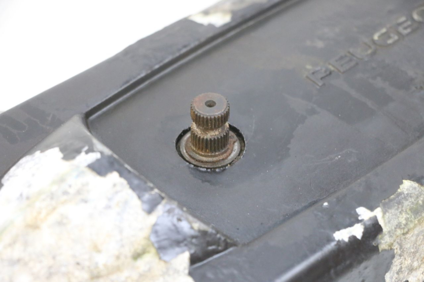 photo de CARTER VARIATEUR PEUGEOT LUDIX 50 (2008 - 2017) - Marquages et références