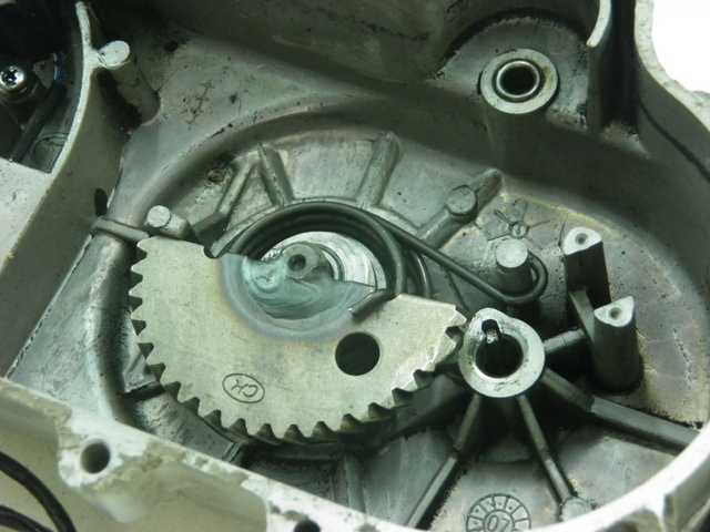 photo de CARTER VARIATEUR ROADSIGN WALLABY 50 (2009 - 2014) - Autre angle de vue