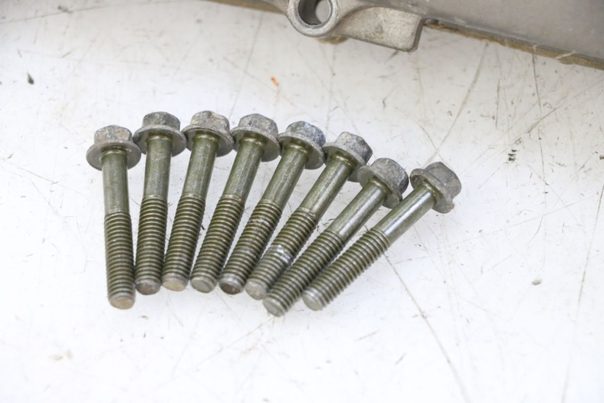 photo de CARTER VARIATEUR PGO RODOSHOW 2T 50 (2003 - 2007) - État de surface