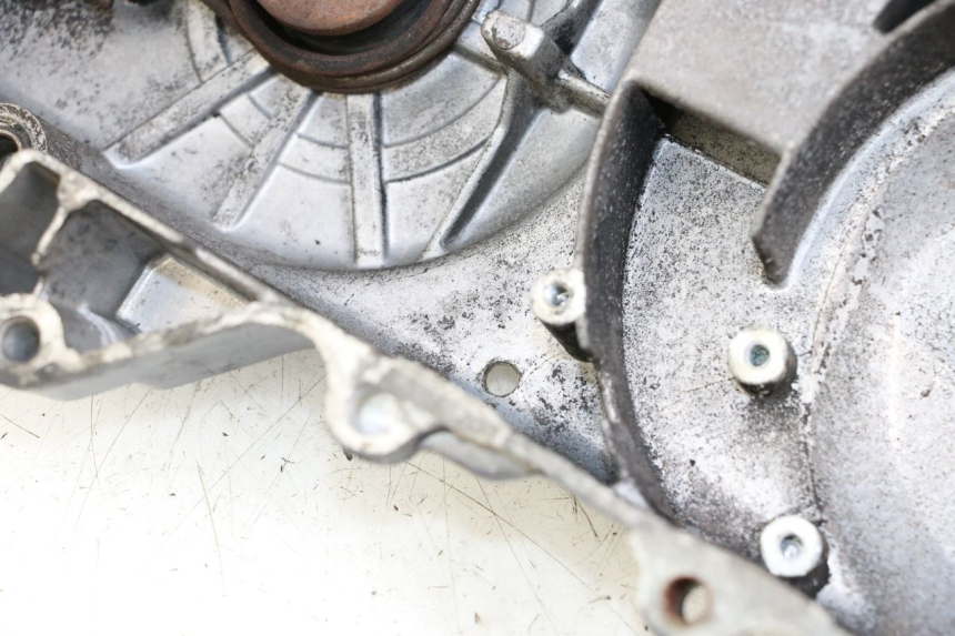 photo de CARTER VARIATEUR TNT MOTOR ROMA 10' 4T 50 (2007 - 2018) - Gros plan technique