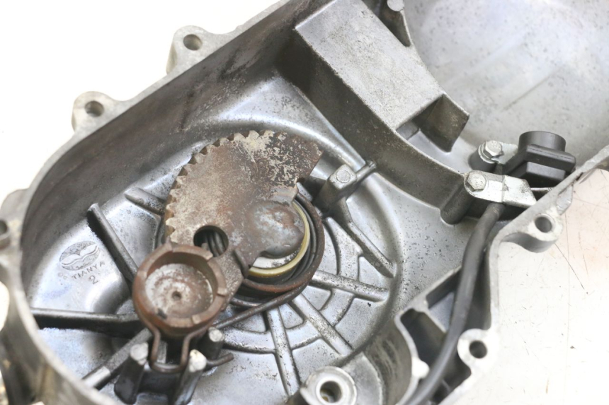 photo de CARTER VARIATEUR TNT MOTOR ROMA 10' 4T 50 (2007 - 2018) - Gros plan technique