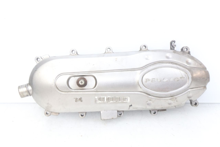 photo de CARTER VARIATEUR PEUGEOT TWEET 4T 50 (2018 - 2022) - Vue principale