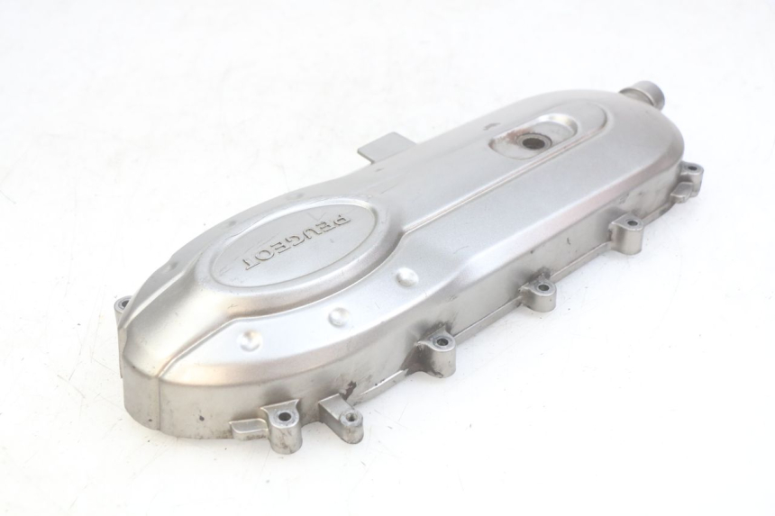 photo de CARTER VARIATEUR PEUGEOT TWEET 4T 50 (2010 - 2014) - Gros plan technique