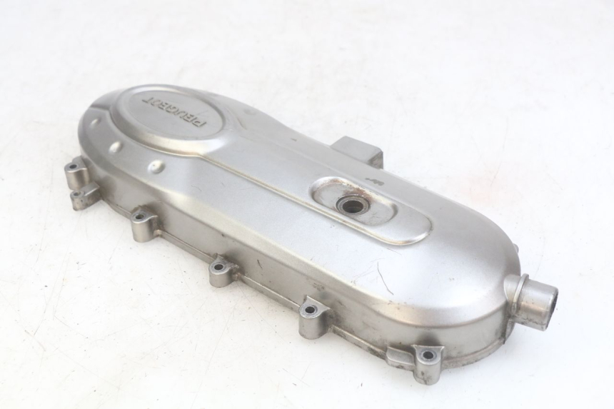 photo de CARTER VARIATEUR PEUGEOT TWEET 4T 50 (2010 - 2014) - Vue d’ensemble