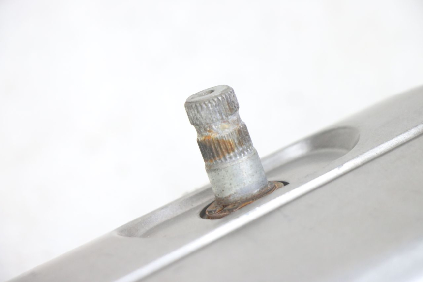 photo de CARTER VARIATEUR PEUGEOT TWEET 4T 50 (2014 - 2019) - Vue d’ensemble