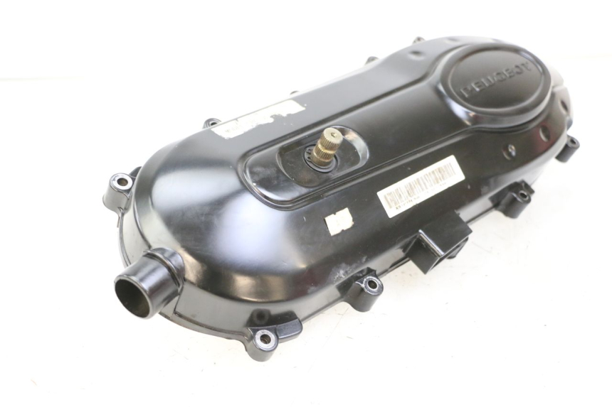 photo de CARTER VARIATEUR PEUGEOT TWEET 4T 50 (2018 - 2022) - État de surface