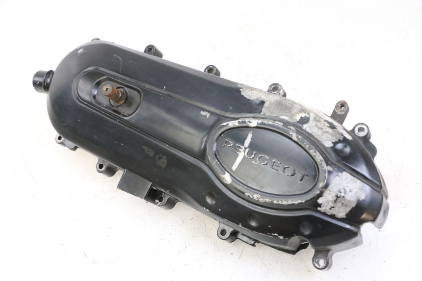 photo de CARTER VARIATEUR PEUGEOT TWEET PRO CARGO 50 (2018 - 2022) - Vue d’ensemble