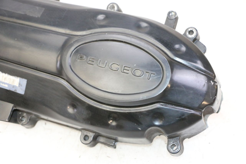 photo de CARTER VARIATEUR PEUGEOT TWEET PRO CARGO 50 (2018 - 2022) - Détails caractéristiques