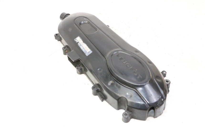 photo de CARTER VARIATEUR PEUGEOT TWEET PRO CARGO 50 (2018 - 2022) - Vue d’ensemble