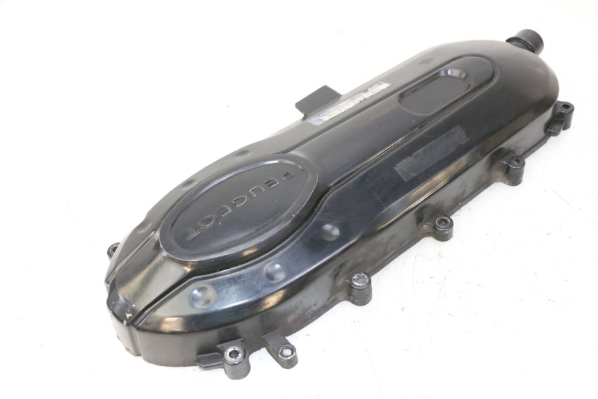 photo de CARTER VARIATEUR PEUGEOT TWEET PRO CARGO 50 (2018 - 2022) - Points de fixation