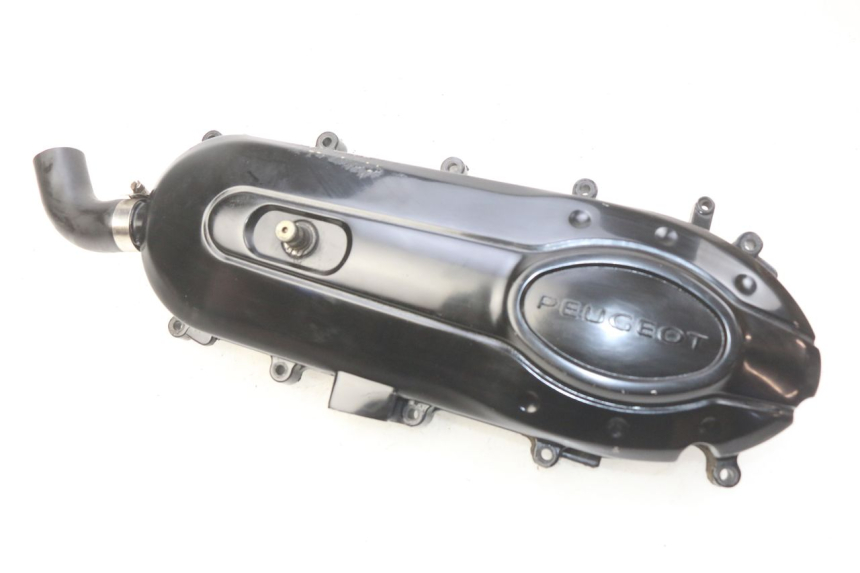 photo de CARTER VARIATEUR PEUGEOT VIVACITY NEW 4T 50 (2008 - 2017) - Vue principale