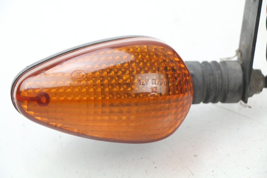 photo de CLIGNOTANT ARRIERE ERIDER CARGO 1 (2009 - 2018) - Vue d’ensemble