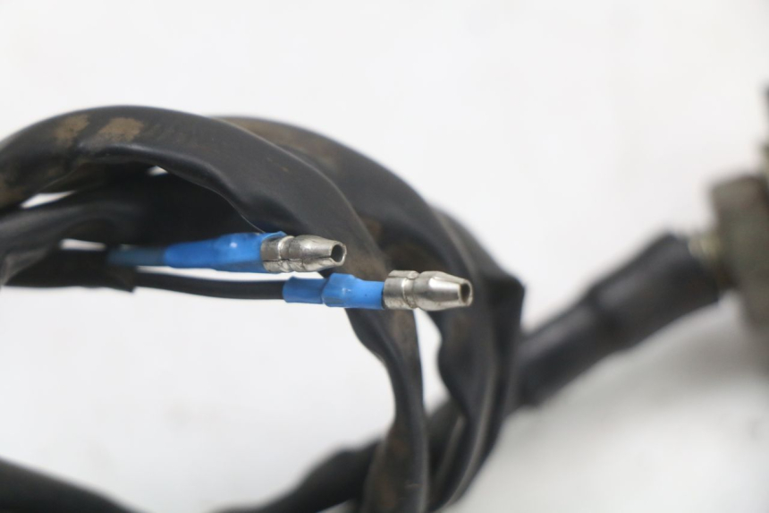 photo de Rear right turn signal JINLUN JL HIGHLANDER 125 (2007 - 2015) - Vue d’ensemble