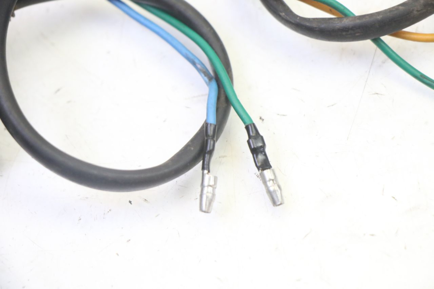 photo de CLIGNOTANT ARRIERE STAHO FH 50 (2018 - 2019) - État de surface