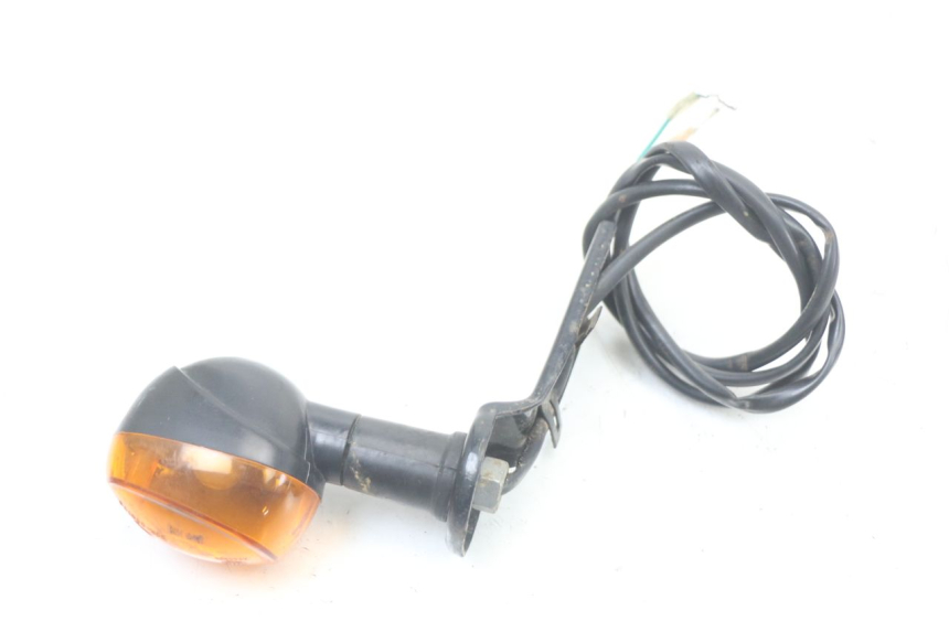 photo de CLIGNOTANT ARRIERE GAUCHE REGAL RAPTOR SPYDER 125 (2010 - 2018) - Vue principale