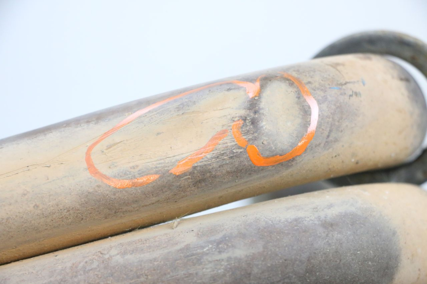 photo de COLLECTEUR YAMAHA FJR ABS 1300 (2006 - 2012) - Zoom état d’usage