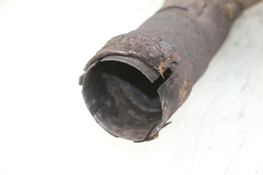 photo de COLLECTEUR SUZUKI SV S 650 (1999 - 2002) - Vue rapprochée