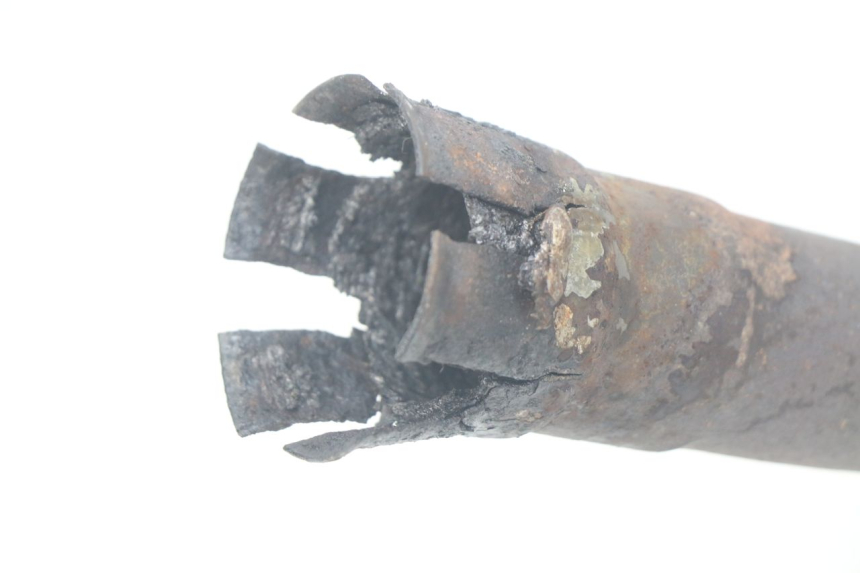 photo de COLLECTEUR SUZUKI XF FREEWIND 650 (1997 - 2003) - État de surface