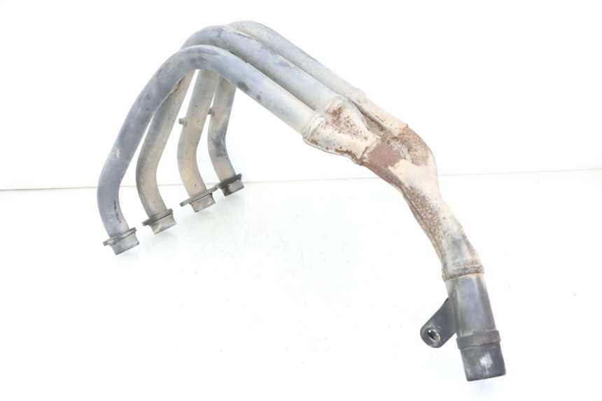 photo de COLLECTEUR YAMAHA FZS FAZER 600 (2001 - 2003) - Autre angle de vue