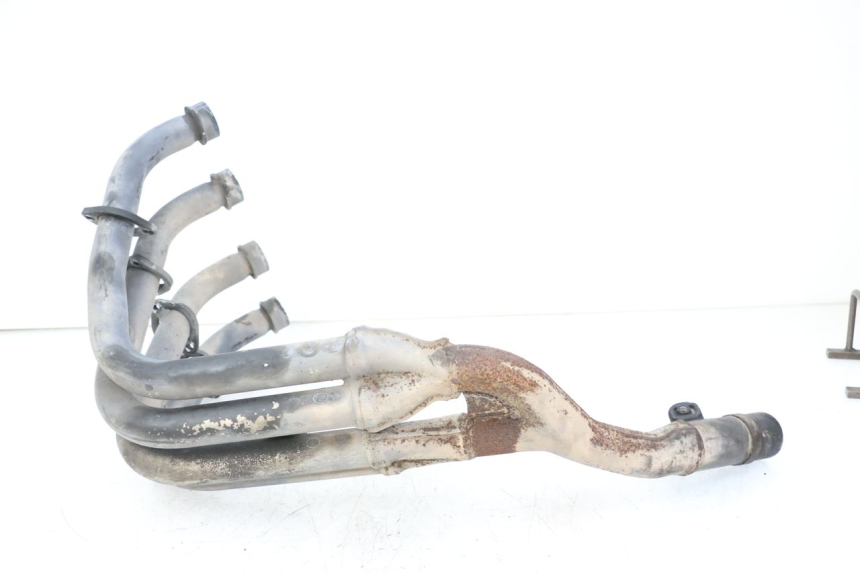 photo de COLLECTEUR YAMAHA FZS FAZER 600 (2001 - 2003) - Vue d’ensemble