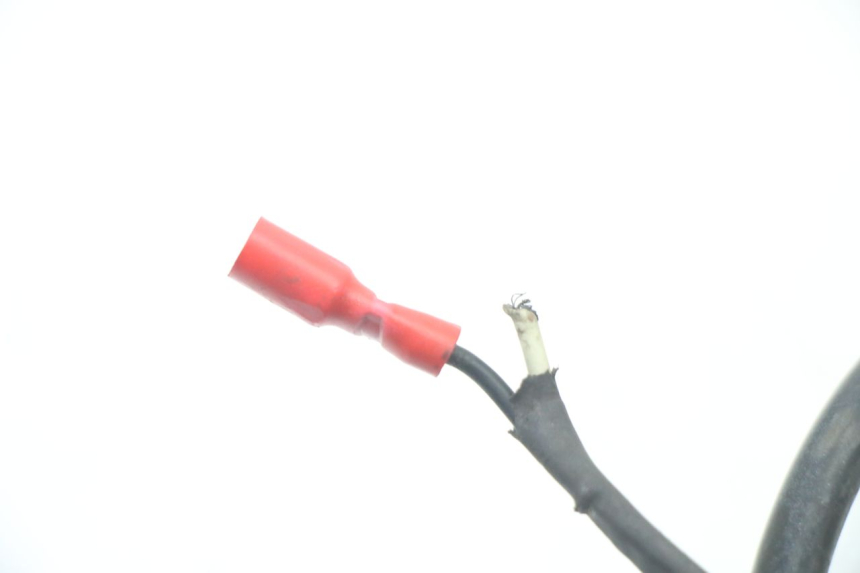 photo de COUPE CONTACT HONDA CR 85 (2003 - 2007) - Gros plan technique