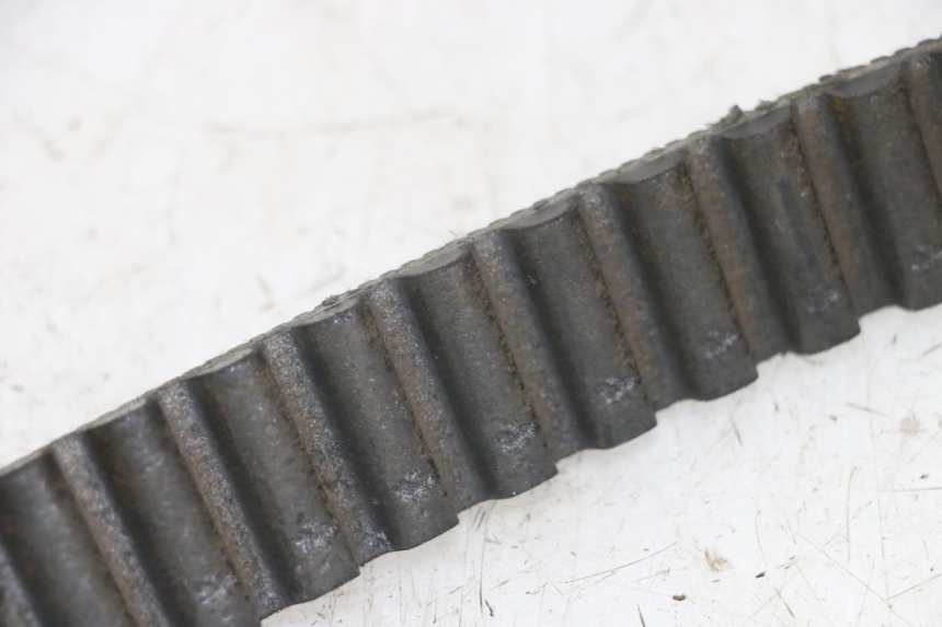 photo de COURROIE HARLEY DAVIDSON SPORTSTER XL CUSTOM 1200 (2003 - 2004) - Détail de la pièce