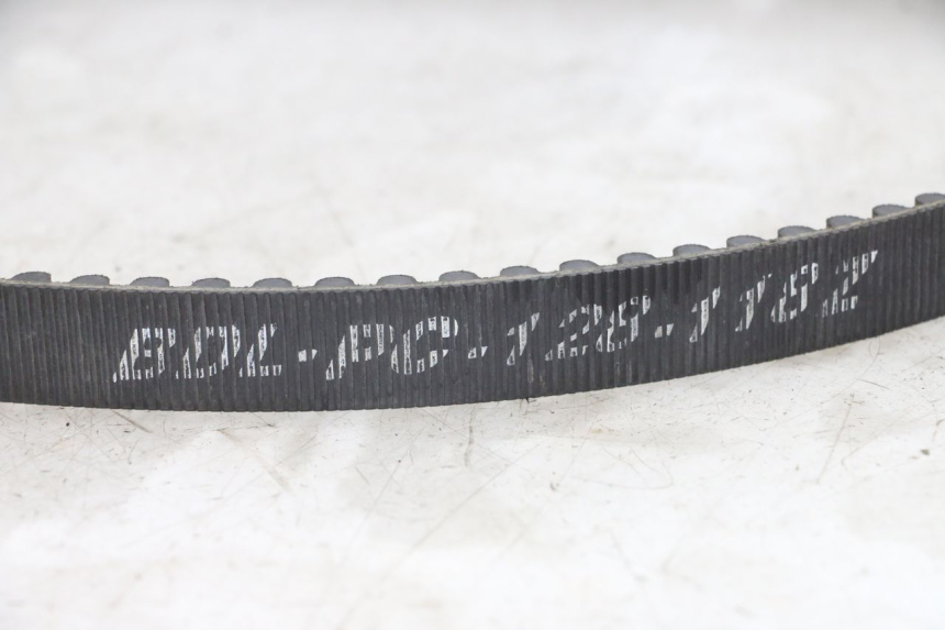 photo de COURROIE HARLEY DAVIDSON SPORTSTER XL CUSTOM 1200 (2003 - 2004) - Vue d’ensemble