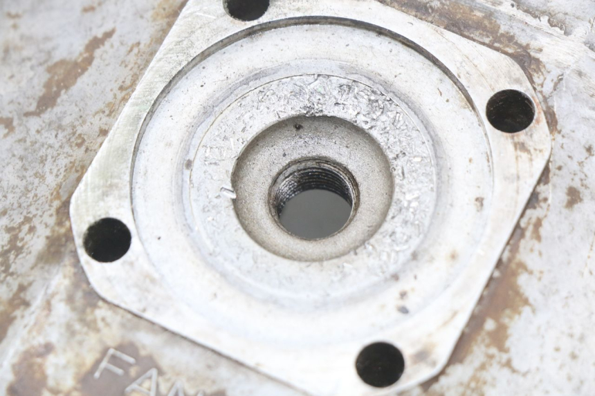 photo de CULASSE FANTIC MOTOR CABALLERO TX 190 50 - Vue d’ensemble