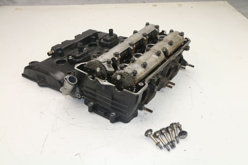 photo de CULASSE HONDA CBF N 600 (2004 - 2007) - Marquages et références