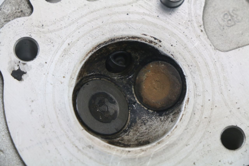 photo de CULASSE LONGJIA DIGITA 4T 50 (2019 - 2022) - Angle alternatif