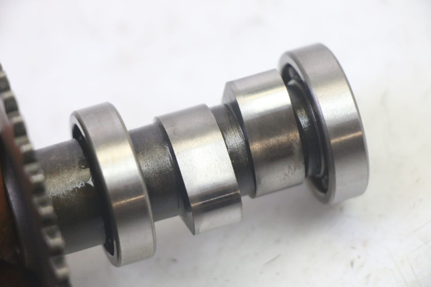 photo de CULASSE LONGJIA DIGITA 4T 50 (2019 - 2022) - Photo complémentaire